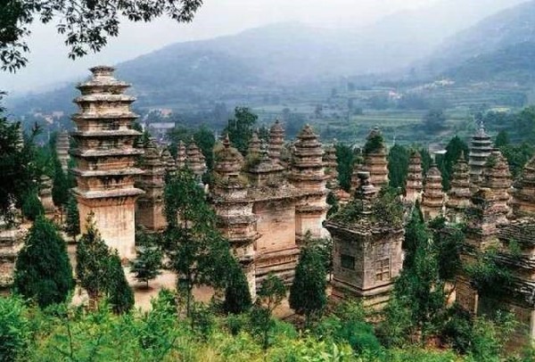 Tháp Lâm (Rừng Tháp): Một Hành Trình Về Miền Di Sản