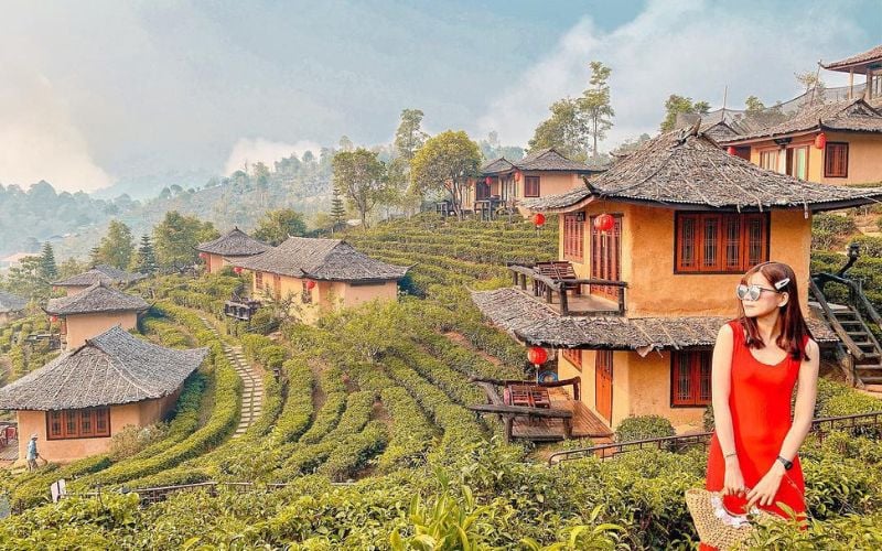 Vườn trà Long Tỉnh - Tận hưởng không gian yên bình của làng quê – Saigon Luxury Group: Travel - Transport - Event