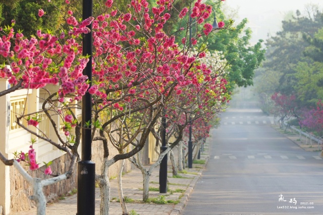 Bát Đại Quan – Thanh Đảo | Peach & Blue