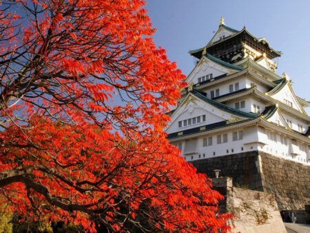 NHẬT BẢN MÙA THU 2026 | OSAKA – KYOTO – NÚI PHÚ SĨ – TOKYO