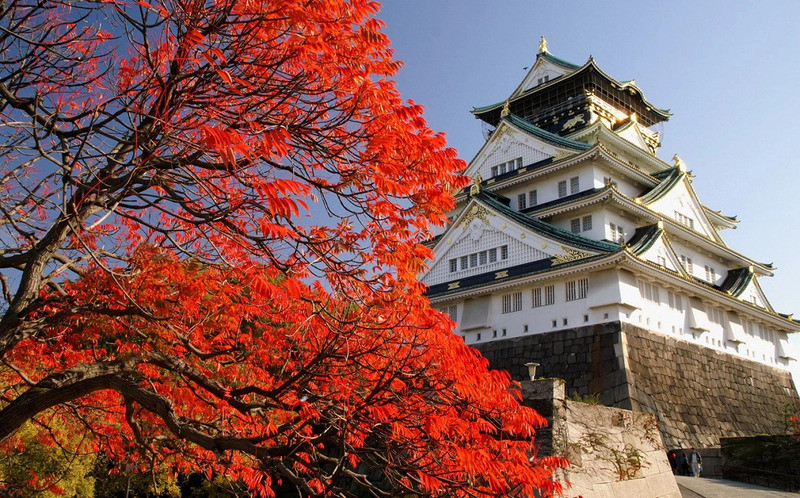 NHẬT BẢN MÙA THU 2026 | OSAKA – KYOTO – NÚI PHÚ SĨ – TOKYO