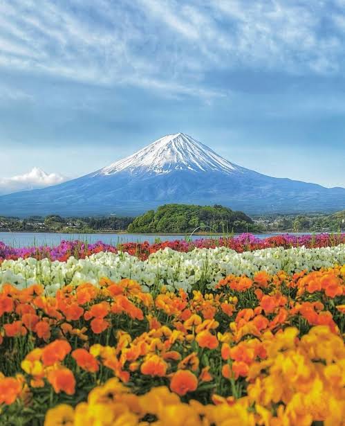 NHẬT BẢN MÙA THU 2026 | OSAKA – KYOTO – NÚI PHÚ SĨ – TOKYO