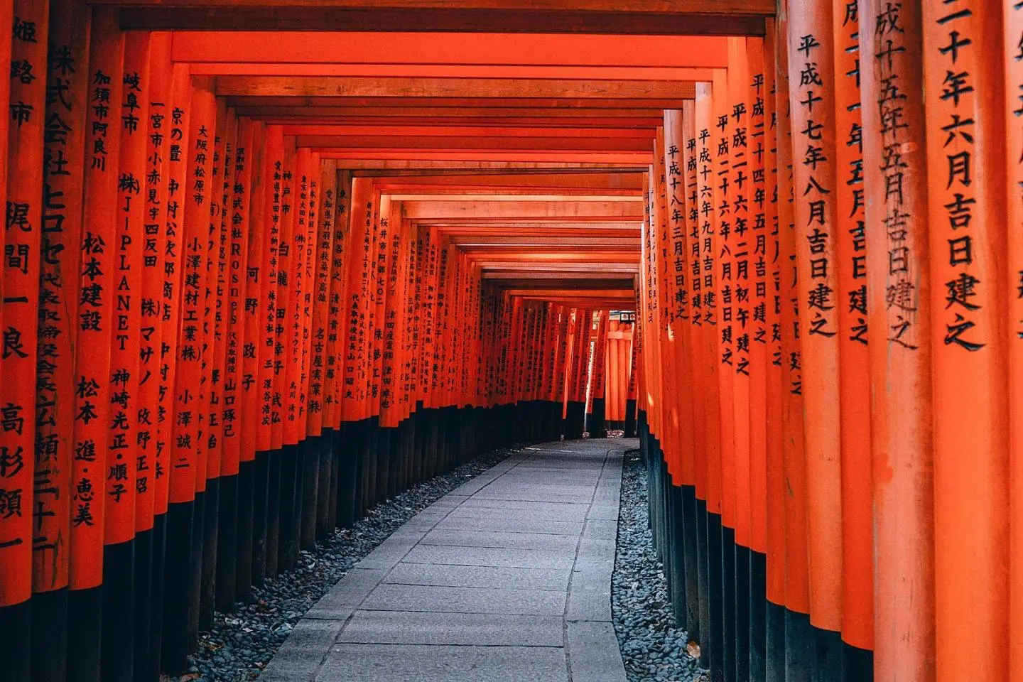 Nhật Bản mùa lá đỏ 2026 – hành trình Osaka Kyoto Phú Sĩ Tokyo