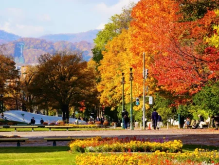 HOKKAIDO MÙA LÁ ĐỎ 2026 | DAiSETSUZAN – BLUE POND – SAPPORO
