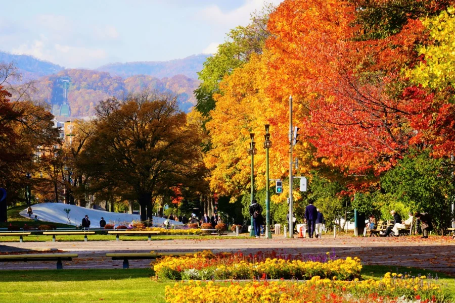 HOKKAIDO MÙA LÁ ĐỎ 2026 | DAISETSUZAN – BLUE POND – SAPPORO