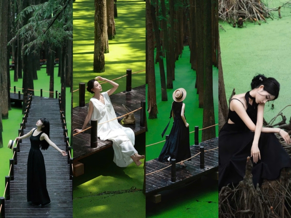 Du lịch đầm lầy Thanh Sơn - Hồ Matcha độc đáo ở Hàng Châu | Công ty du lịch Elite Tour